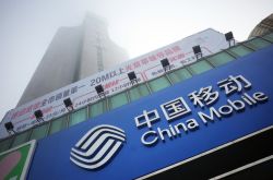 6分钟科普!七台河市热线电话_哔哩哔哩-2